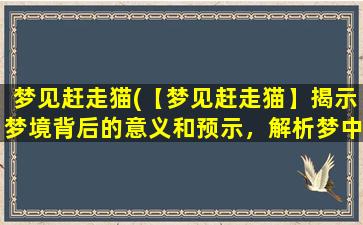 梦见赶走猫(【梦见赶走猫】揭示梦境背后的意义和预示，解析梦中出现的具体细节)