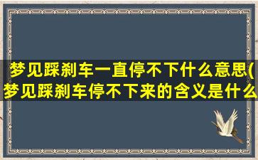 梦见踩刹车一直停不下什么意思(梦见踩刹车停不下来的含义是什么？)