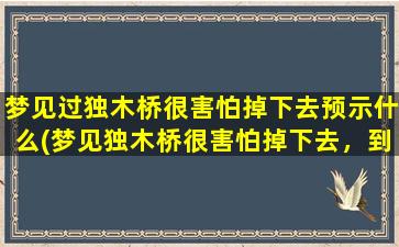 梦见过独木桥很害怕掉下去预示什么(梦见独木桥很害怕掉下去，到底代表什么？)