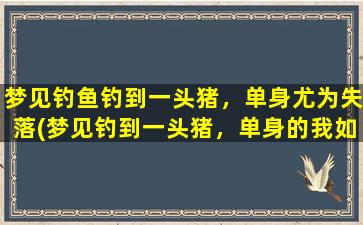 梦见钓鱼钓到一头猪，单身尤为失落(梦见钓到一头猪，单身的我如此失落)