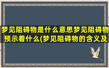 梦见阻碍物是什么意思梦见阻碍物预示着什么(梦见阻碍物的含义及预示，梦境中阻碍物的象征解析)