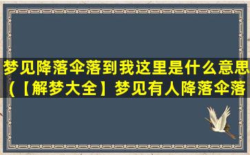 梦见降落伞落到我这里是什么意思(【解梦大全】梦见有人降落伞落到我身边，是什么预示？)