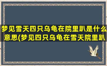 梦见雪天四只乌龟在院里趴是什么意思(梦见四只乌龟在雪天院里趴，解梦大全告诉你潜意识的含义)