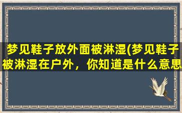 梦见鞋子放外面被淋湿(梦见鞋子被淋湿在户外，你知道是什么意思吗？)