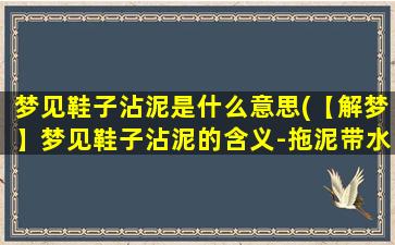 梦见鞋子沾泥是什么意思(【解梦】梦见鞋子沾泥的含义-拖泥带水的象征)