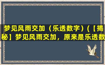 梦见风雨交加（乐透数字）(【揭秘】梦见风雨交加，原来是乐透数字！)