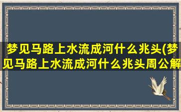 梦见马路上水流成河什么兆头(梦见马路上水流成河什么兆头周公解梦)