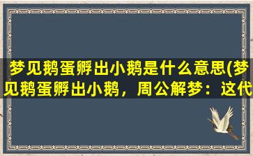 梦见鹅蛋孵出小鹅是什么意思(梦见鹅蛋孵出小鹅，周公解梦：这代表着什么？)