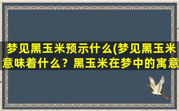 梦见黑玉米预示什么(梦见黑玉米意味着什么？黑玉米在梦中的寓意解析)