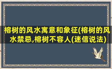 榕树的风水寓意和象征(榕树的风水禁忌,榕树不容人(迷信说法))