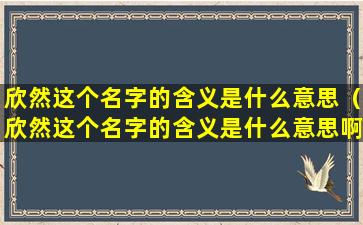 欣然这个名字的含义是什么意思（欣然这个名字的含义是什么意思啊）