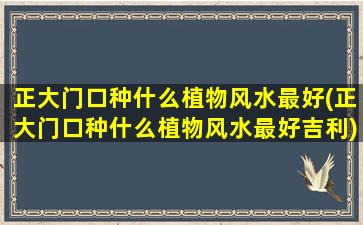 正大门口种什么植物风水最好(正大门口种什么植物风水最好吉利)