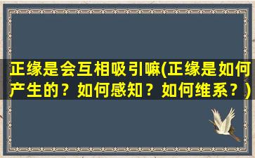 正缘是会互相吸引嘛(正缘是如何产生的？如何感知？如何维系？)