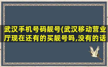 武汉手机号码靓号(武汉移动营业厅现在还有的买靓号吗,没有的话哪里有卖)