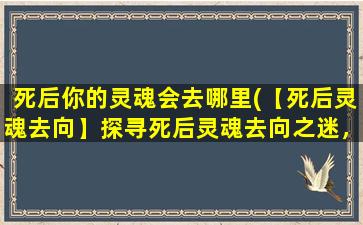 死后你的灵魂会去哪里(【死后灵魂去向】探寻死后灵魂去向之迷，详解不同信仰解释。)