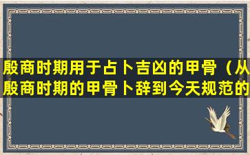 殷商时期用于占卜吉凶的甲骨（从殷商时期的甲骨卜辞到今天规范的应用文）