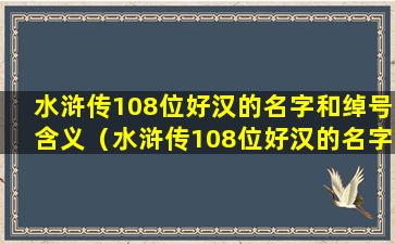 水浒传108位好汉的名字和绰号含义（水浒传108位好汉的名字和绰号含义是什么）