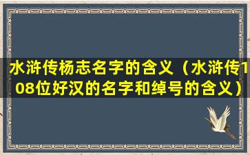 水浒传杨志名字的含义（水浒传108位好汉的名字和绰号的含义）