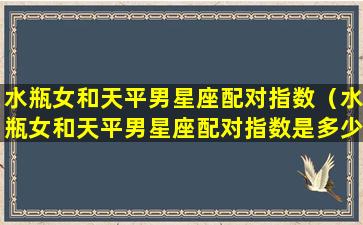 水瓶女和天平男星座配对指数（水瓶女和天平男星座配对指数是多少）