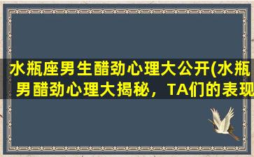 水瓶座男生醋劲心理大公开(水瓶男醋劲心理大揭秘，TA们的表现让人咋思索！)