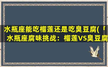 水瓶座能吃榴莲还是吃臭豆腐(「水瓶座腐味挑战：榴莲VS臭豆腐，谁能入口？」)