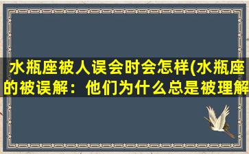 水瓶座被人误会时会怎样(水瓶座的被误解：他们为什么总是被理解错误？)