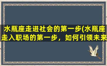 水瓶座走进社会的第一步(水瓶座走入职场的第一步，如何引领未来？)