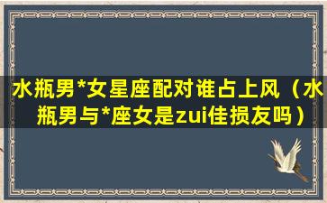 水瓶男*女星座配对谁占上风（水瓶男与*座女是zui佳损友吗）