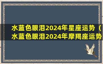 水蓝色眼泪2024年星座运势（水蓝色眼泪2024年摩羯座运势）