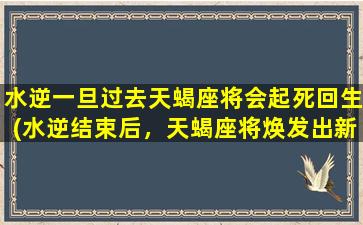 水逆一旦过去天蝎座将会起死回生(水逆结束后，天蝎座将焕发出新生的力量)