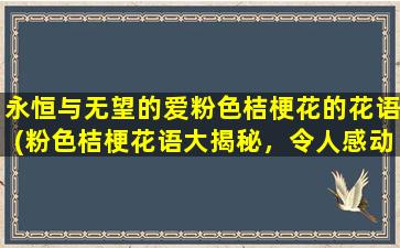 永恒与无望的爱粉色桔梗花的花语(粉色桔梗花语大揭秘，令人感动的永恒无望的爱之花！)