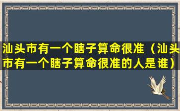 汕头市有一个瞎子算命很准（汕头市有一个瞎子算命很准的人是谁）