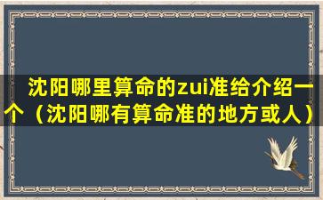 沈阳哪里算命的zui准给介绍一个（沈阳哪有算命准的地方或人）