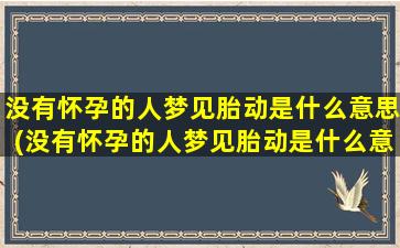 没有怀孕的人梦见胎动是什么意思(没有怀孕的人梦见胎动是什么意思？解梦专家为您解析！)