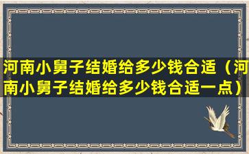 河南小舅子结婚给多少钱合适（河南小舅子结婚给多少钱合适一点）