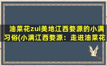 油菜花zui美地江西婺源的小满习俗(小满江西婺源：走进油菜花海，探寻传统习俗)