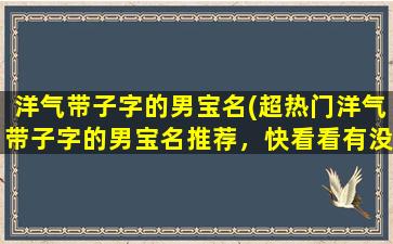 洋气带子字的男宝名(超热门洋气带子字的男宝名推荐，快看看有没有你家宝贝的心头好！)