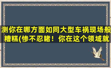 测你在哪方面如同大型车祸现场般糟糕(惨不忍睹！你在这个领域就像是一场交通事故现场)