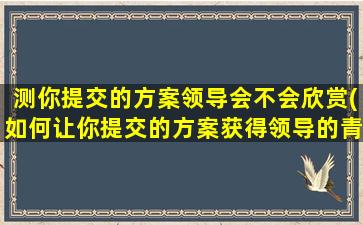 测你提交的方案领导会不会欣赏(如何让你提交的方案获得领导的青睐？)