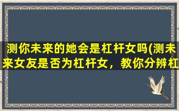 测你未来的她会是杠杆女吗(测未来女友是否为杠杆女，教你分辨杠杆女的十大特征)