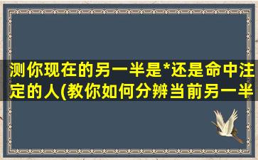 测你现在的另一半是*还是命中注定的人(教你如何分辨当前另一半是*还是注定的人，震惊！30年经验总结)