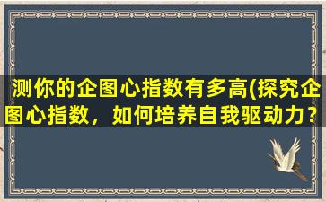 测你的企图心指数有多高(探究企图心指数，如何培养自我驱动力？)