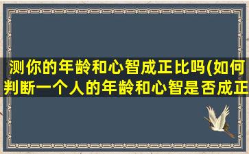 测你的年龄和心智成正比吗(如何判断一个人的年龄和心智是否成正比？)