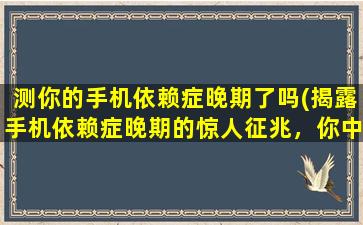 测你的手机依赖症晚期了吗(揭露手机依赖症晚期的惊人征兆，你中招了吗？)