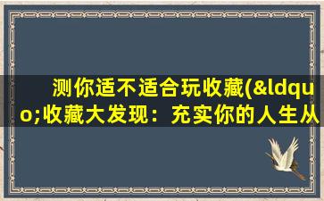 测你适不适合玩收藏(“收藏大发现：充实你的人生从这里开始”)