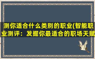 测你适合什么类别的职业(智能职业测评：发掘你最适合的职场天赋！)