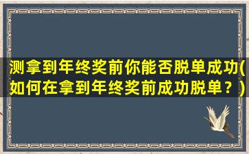 测拿到年终奖前你能否脱单成功(如何在拿到年终奖前成功脱单？)