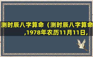 测时辰八字算命（测时辰八字算命,1978年农历11月11日,丑时）