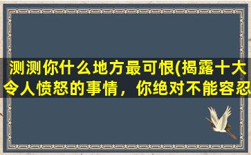 测测你什么地方最可恨(揭露十大令人愤怒的事情，你绝对不能容忍)