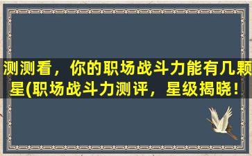 测测看，你的职场战斗力能有几颗星(职场战斗力测评，星级揭晓！)